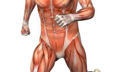 osteoarthritis pain is all about the nerves